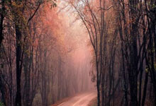 可靠配资平台:炒股杠杆交易-习近平在上海合作组织成员国元首理事会第二十五次会议上的讲话（全文）